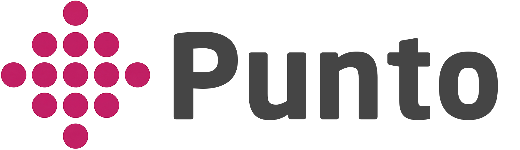 Punto LTD Logo